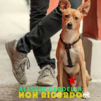 Alessio Cardella - Non ricordo